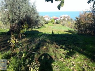 AKÇAABATTA SATILIK 6.082 M2 ARAZİ 